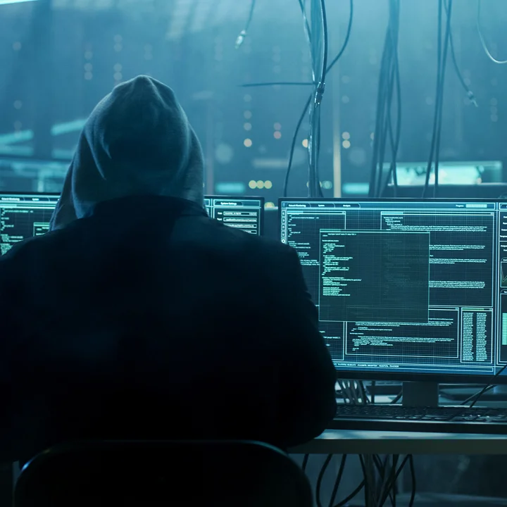 Cyber Crimes